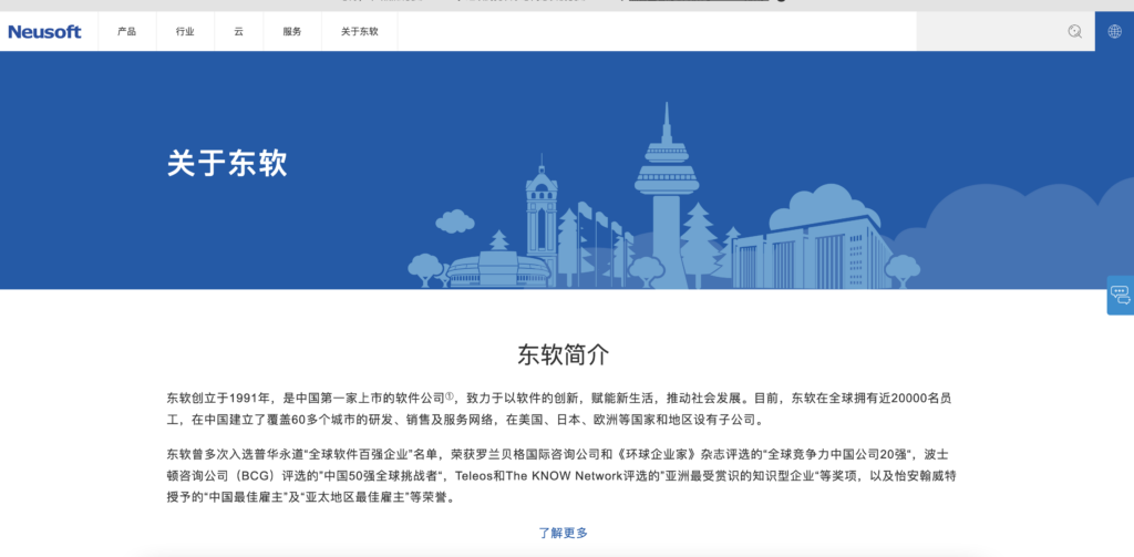 Neusoft东软集团优化赏析