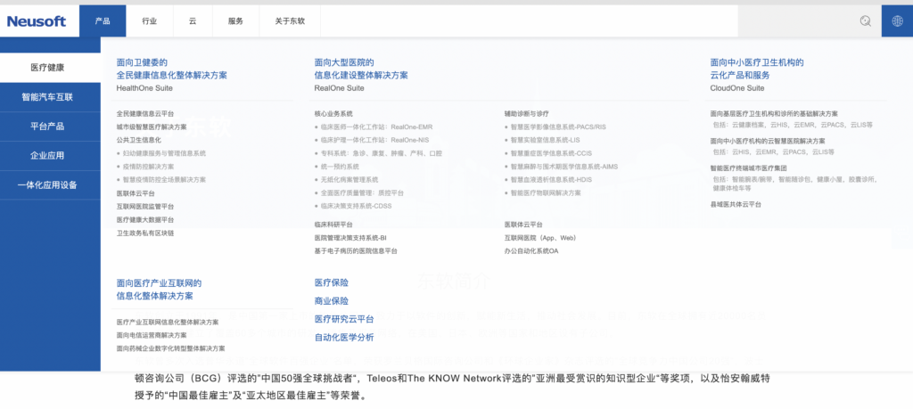 Neusoft东软集团优化赏析