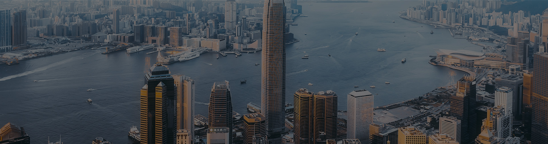 去展网网站优化数据分析