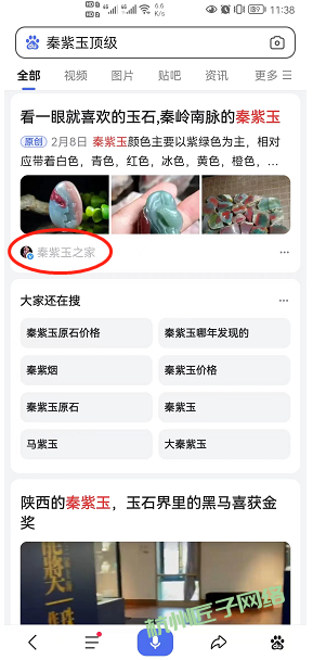 百家号案例-秦紫玉之家(合作中)