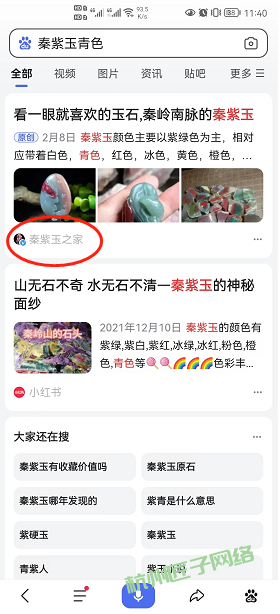 百家号案例-秦紫玉之家(合作中)