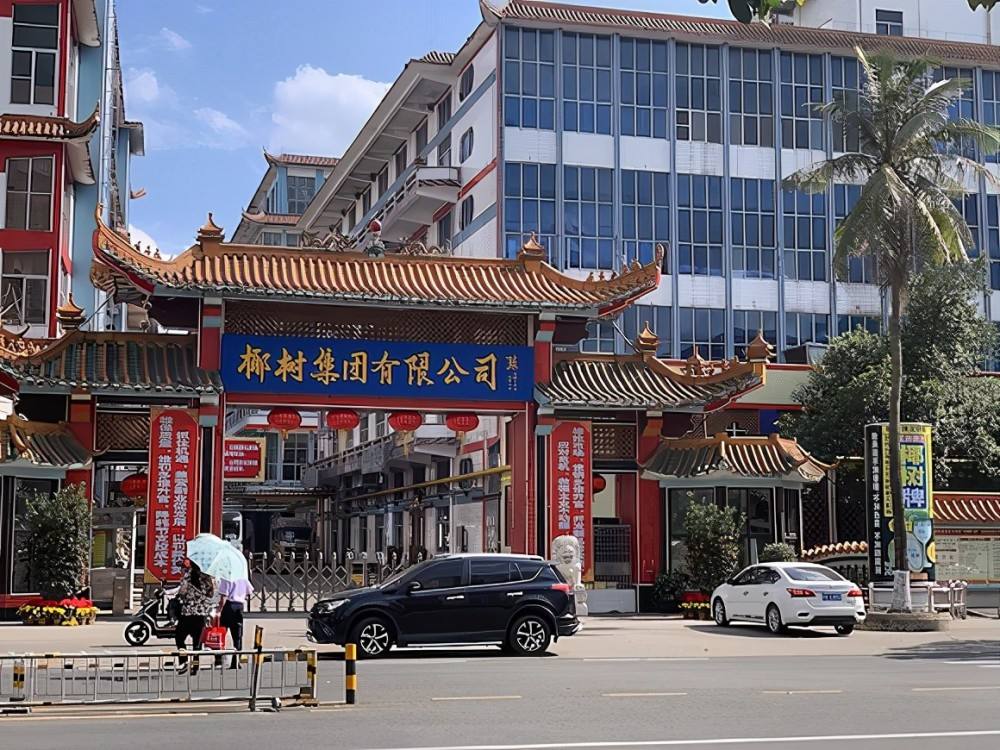 椰树集团有限公司