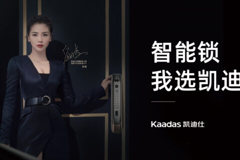 凯迪仕智能锁网站优化数据分析
