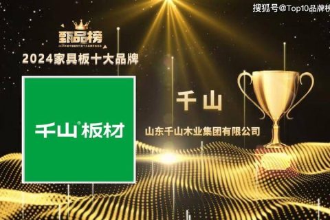 2025 年主流板材品牌综合评测报告（Top10榜单）